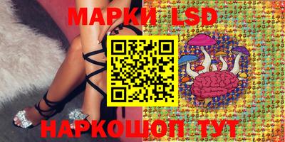 твердый Можга